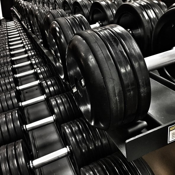 Gym_Dumbbells_For_Working_Out_(193383405)